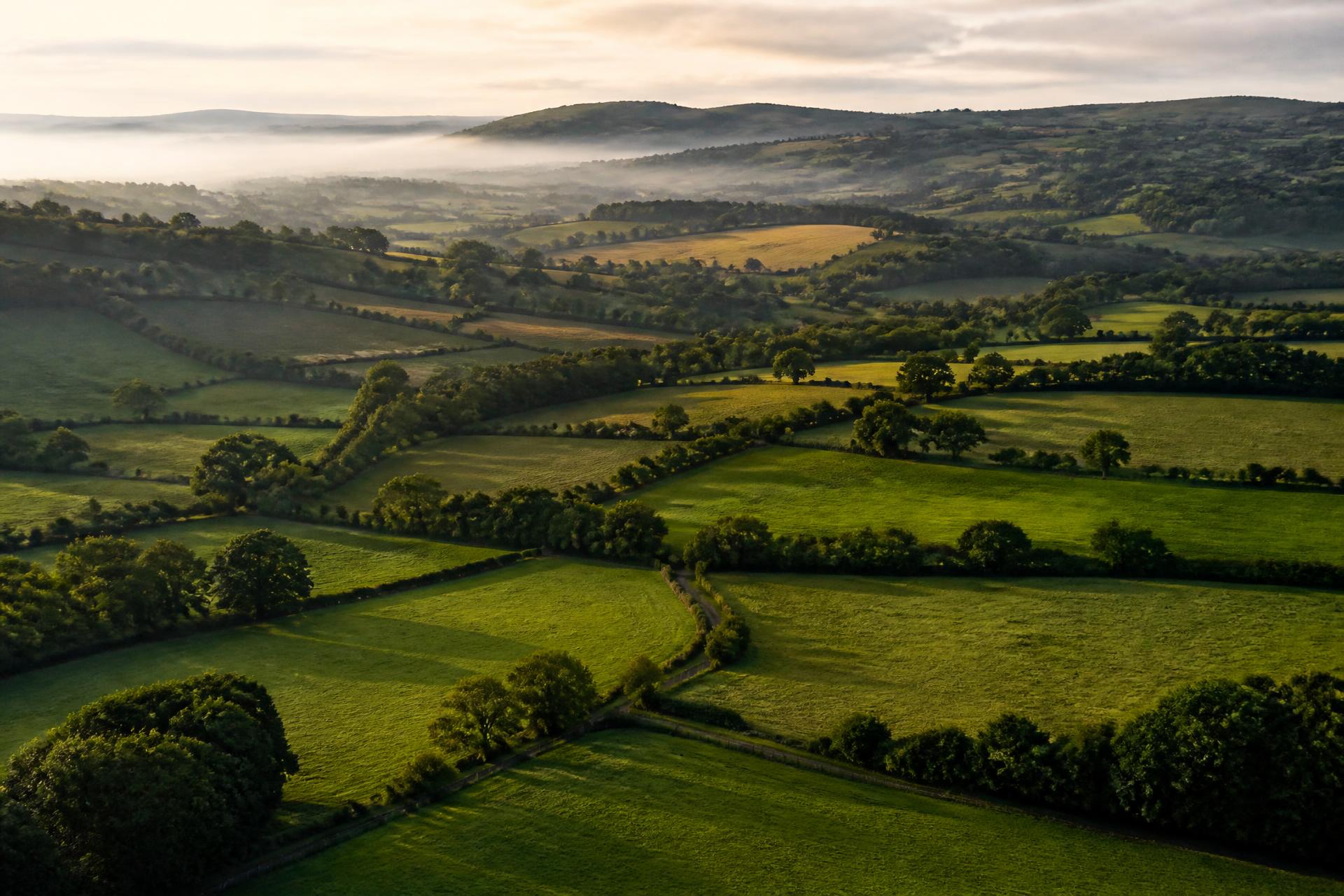 Aerial view of green belt fields around Chesham